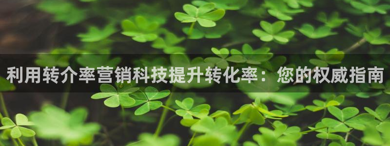 金年会网站拒绝出款怎么解决?