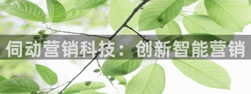 金年会网址导航在线播放