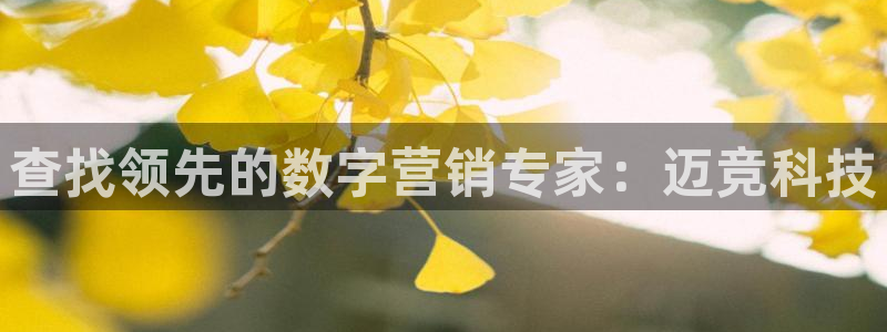 金年会体育app官网下载