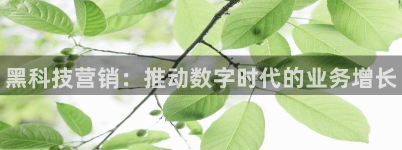 金年会官网中国