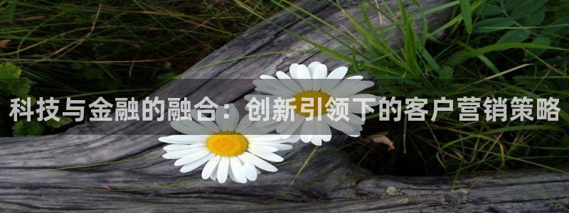金年会网站被拒绝出款怎么处理?