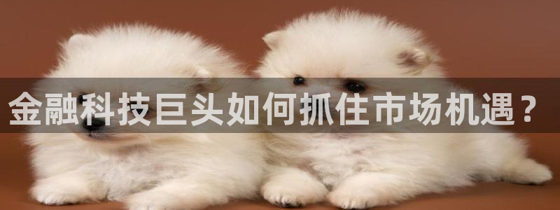 金年会体育app网页版官方入口