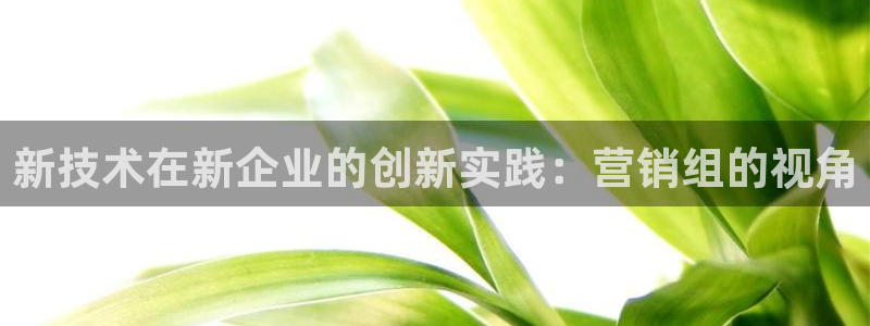 金年会体育app网页版官方入口