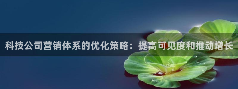 金年会官方下载app