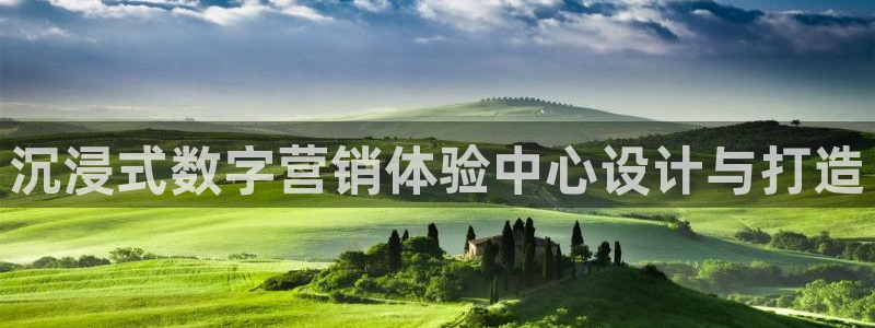 今年会金年会