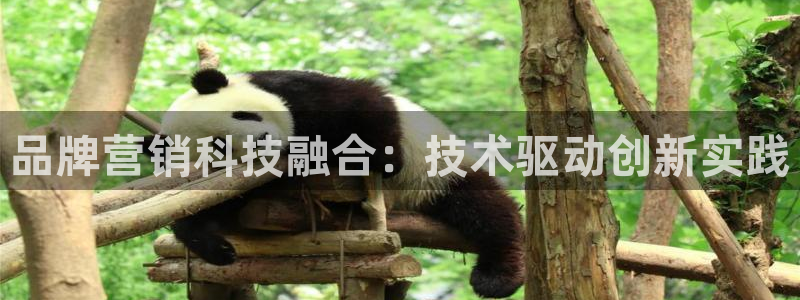 金年会金字招牌至上用了多少钱?