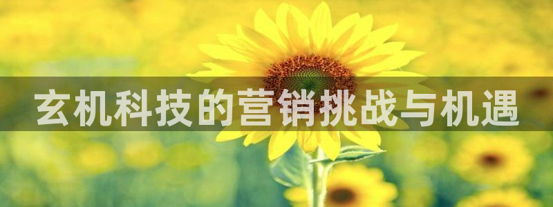 金年会官方网址是什么
