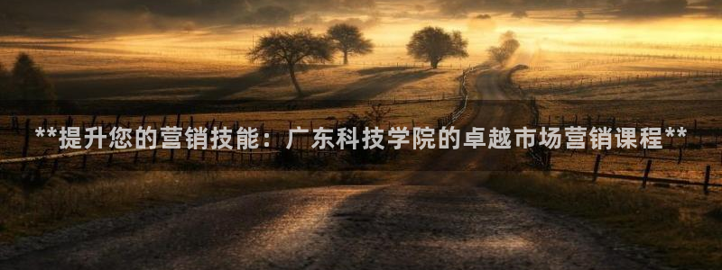 金年会电子游泳app