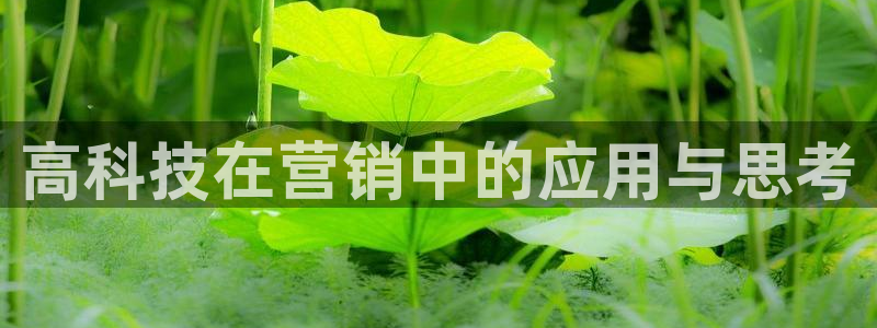 金年会官方在线入口网址是多少