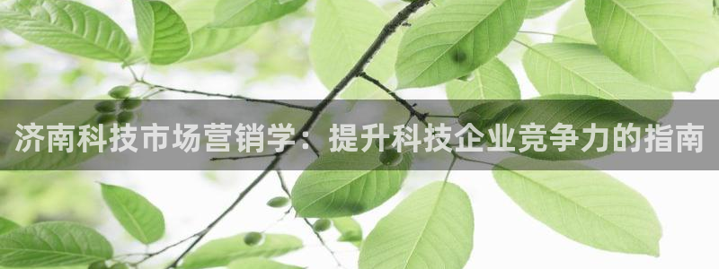 金年会官网登入