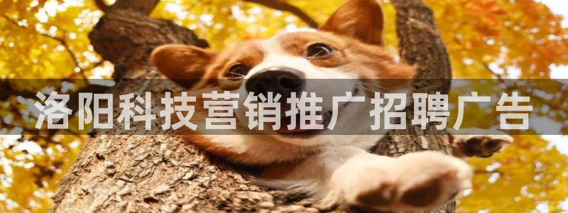 金年会金字招牌信誉至上是黑平台吗