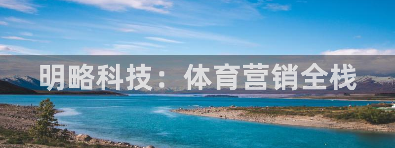 金年会平台是黑网还是白网