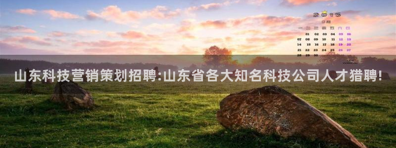 金年会体育官网app
