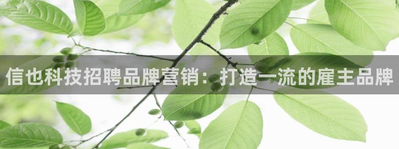 jinnianhui金年会