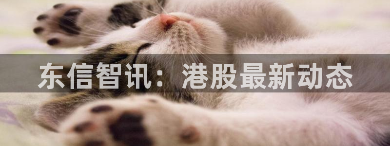 金年会赌博app平台可靠吗安全吗