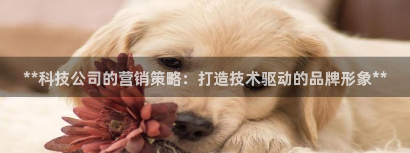 金年会网站提现一直显示审核当中怎么办
