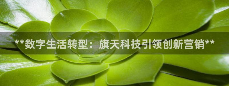 金年会体育全站网站登录