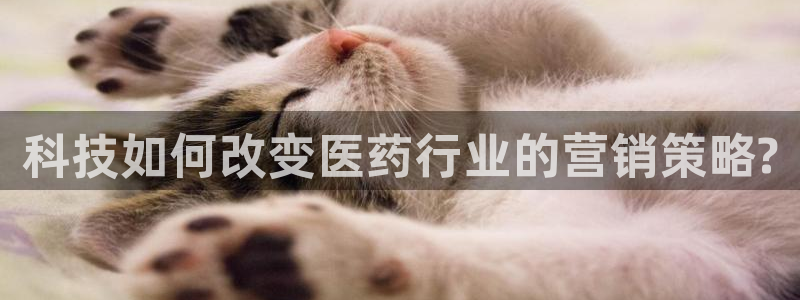 金年会网站可靠吗
