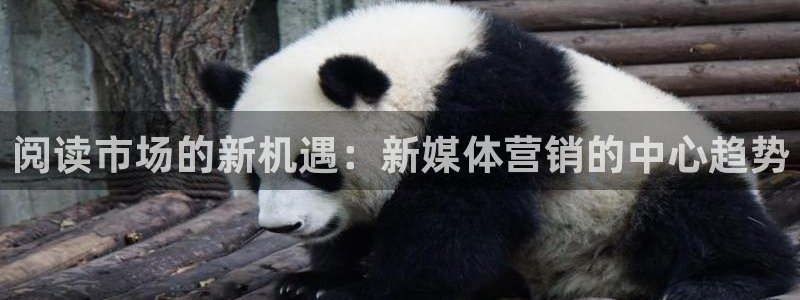 金年会官方在线入口网站2023