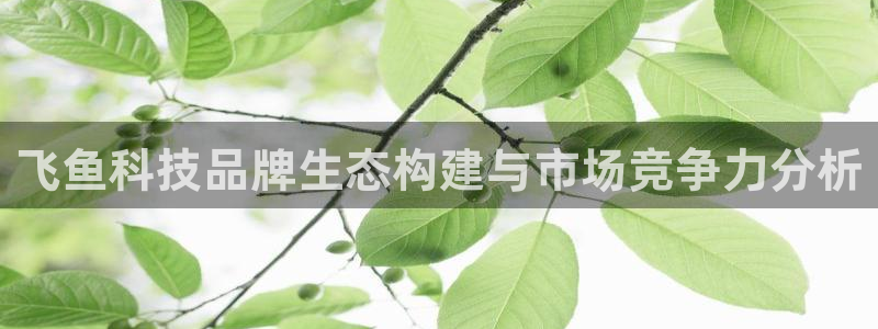 金年会体育黑钱吗