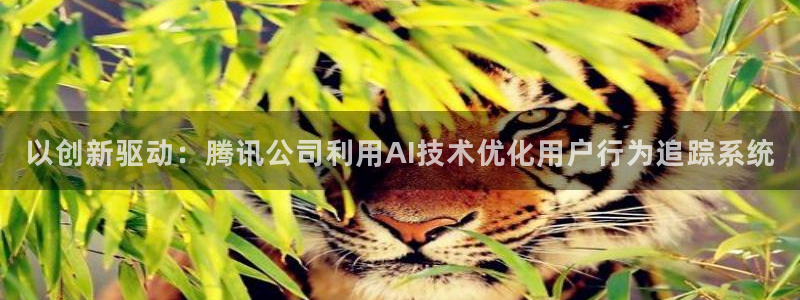 金年会官方入口首页网站