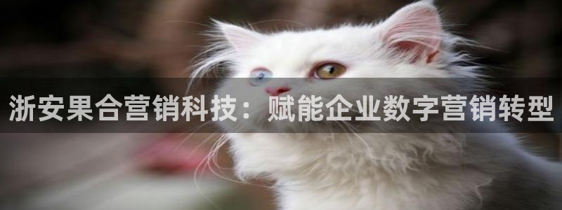 金年会app官方网站入口在哪