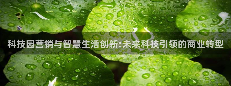 金年会官方登录入口网址是什么