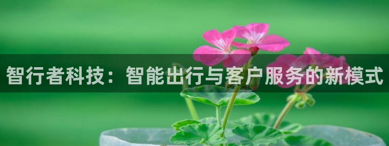 金年会在线入口