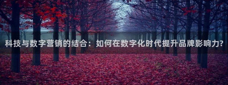金年会体育电子官方网站