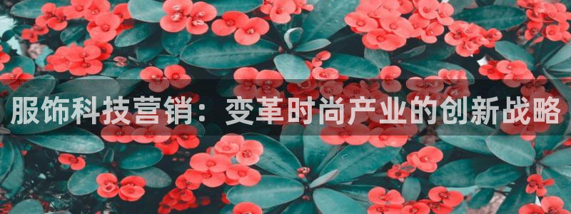 金年会网站提现一直显示审核当中怎么办