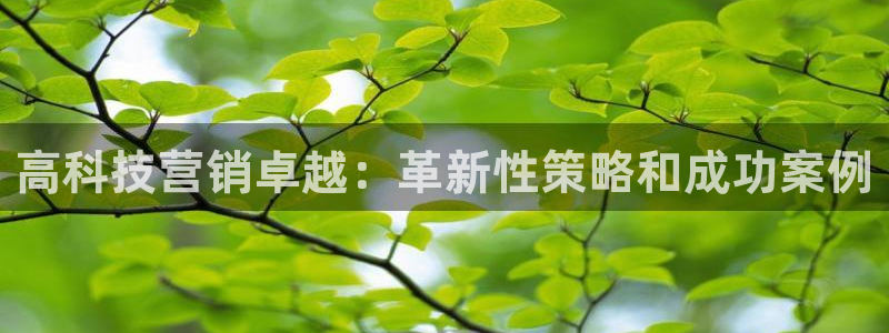 金年会网站稳不稳