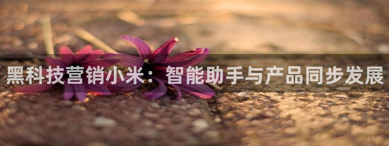 金年会官方入口登录网站