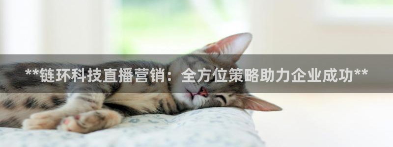 金年会体育app网页版入口