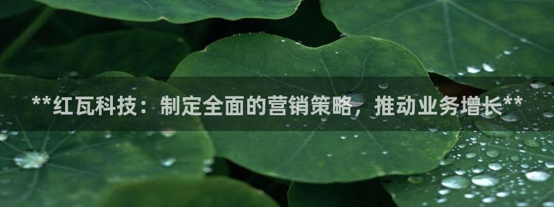 金年会金字招牌信誉至上365