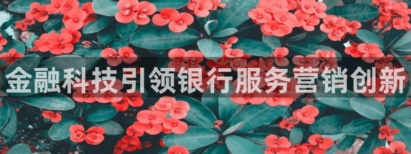 金年会