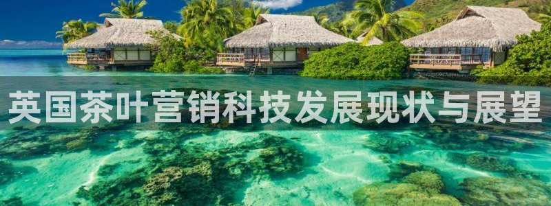 金年会电子游戏app官方