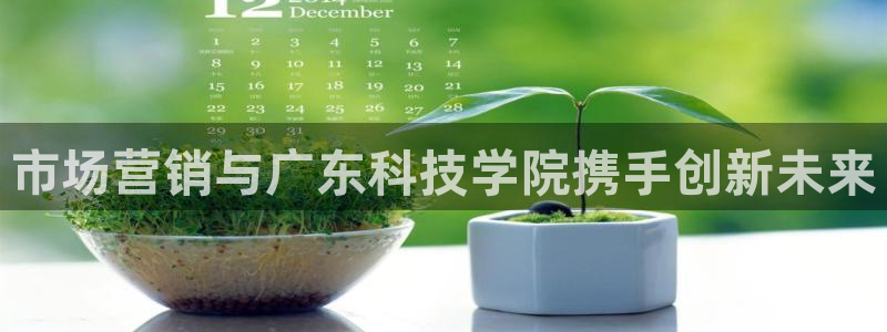 金年会电子游泳app
