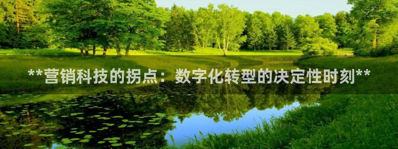 今年会金年会