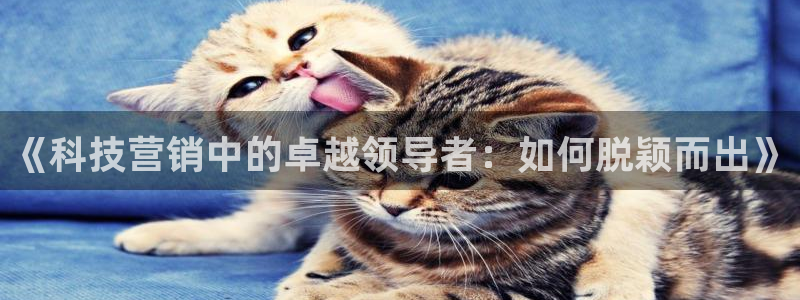 金年会电子游戏app