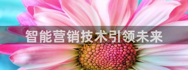 金年会体育一直输
