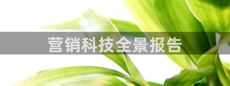 金年会网赌靠普吗