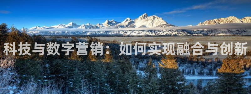 金年会网站不给出款怎么办