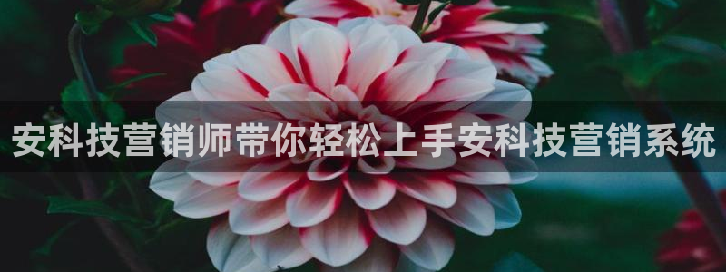 金年会体育平台官网app