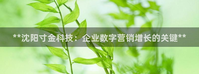 金年会官方网站入口登录手机版下载安装