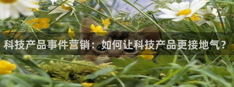 jinnianhui金年会官网