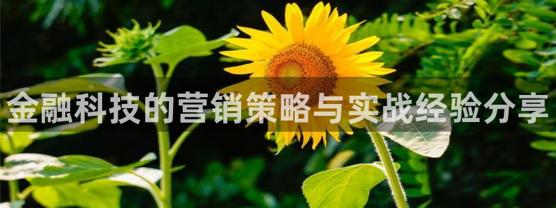 金年会体育网站