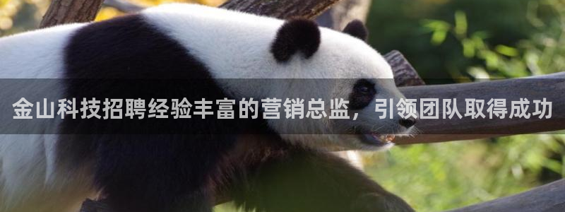 金年会官方入口网站下载