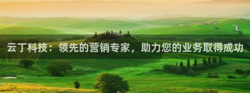 金年会网站提现一直显示审核当中怎么办