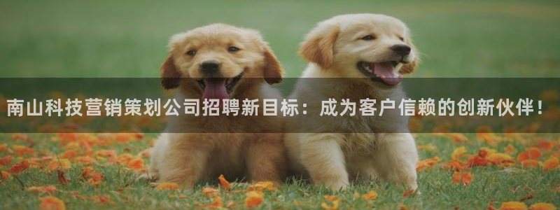 金年会体育官网登录入口下载