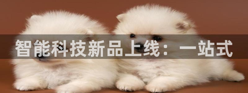 金年会官方娱乐app下载安卓